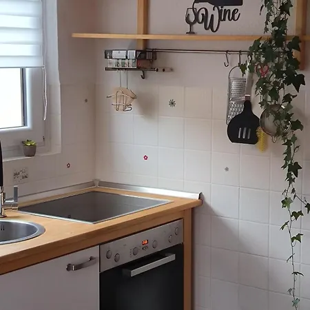 Apartamento Haus Helga *